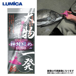 y~Jz_oi߃ZbgEO A20242