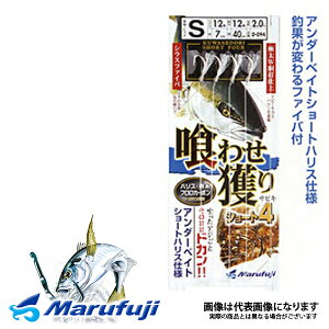 y}tWz킹lV[g4 D-094 S1010