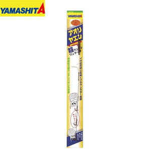 AIG LTCY }V^ AICJ Gނ