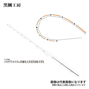 JZt CJ_ƃJX^ւ JX^-VTS ANV 5 H[