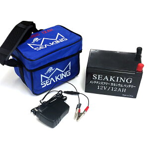 �d�����[�� �o�b�e���[ �V�[�L���O 12V�|12A �E�b�h�}�� �J���V�E���o�b�e���[ �����e�i���X�t���[