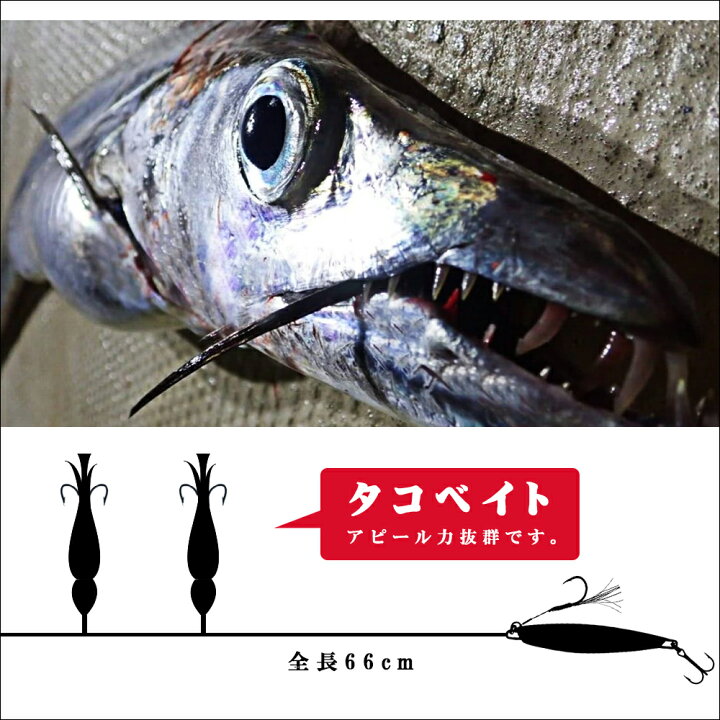 楽天市場 太刀魚 ショアジグサビキ アズーロ タチウオ ショアジグサビキ 五目釣り タコベイト ジギング ショアジギング 太刀魚 船釣り タチウオジギング フィッシングマックス楽天市場店