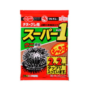 X[p[1W{ }L[ Ta O GT ނGT