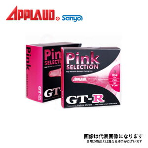 Av[h GT-R sNZNV 100M 16LB T[iC