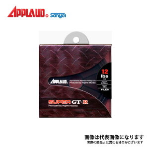 Av[h X[p[ GT-R 100M 6LB T[iC