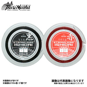 �X�g�����O���C���[�Α� 100M #36 �� �ޕ���