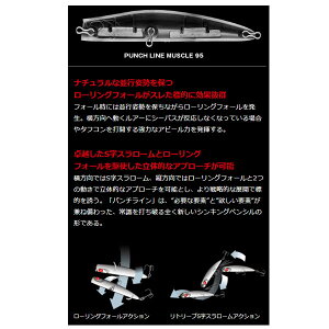 p`C}bX 95 15 TV AsA