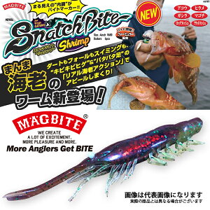 Xib`oCgVv i`NAz }OoCg