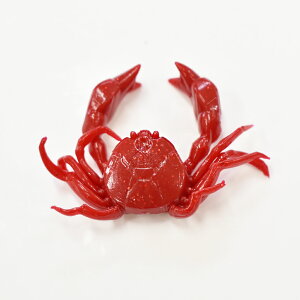 Op CgQ[[ AZW-M bh/bhS[h AY[ Jj[