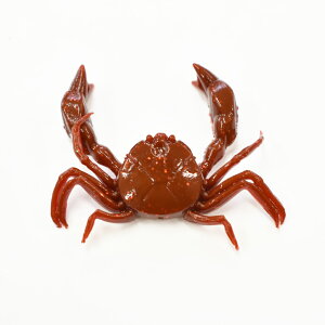 Op CgQ[[ AZW-M uE/bh AY[ Jj[