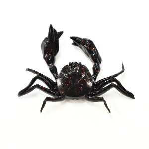 Op CgQ[ Jj[[ AZW-M ubN/bh AY[