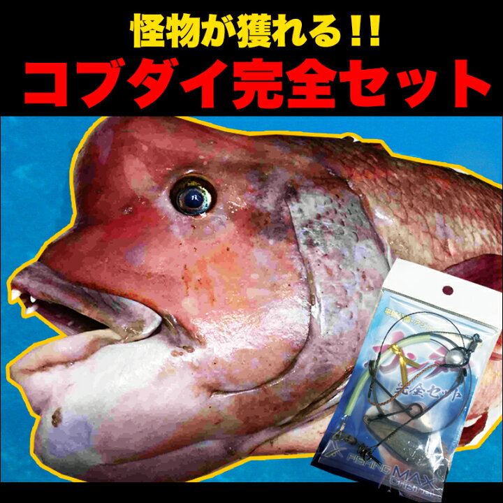 楽天市場 カンダイ完全仕掛セット フィッシングマックスオリジナル コブダイ仕掛け カンダイ仕掛け コブダイ カンダイ 仕掛け 釣り Httr フィッシングマックス楽天市場店 楽天市場 カンダイ完全仕掛セット フィッシングマックスオリジナル コブダイ仕掛け カンダイ仕掛け コブダイ カンダイ 仕掛け 釣り Httr フィッシングマックス楽天市場店