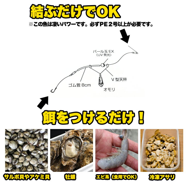 楽天市場 カンダイ完全仕掛セット フィッシングマックスオリジナル コブダイ仕掛け カンダイ仕掛け コブダイ カンダイ 仕掛け 釣り Httr フィッシングマックス楽天市場店 楽天市場 カンダイ完全仕掛セット フィッシングマックスオリジナル コブダイ仕掛け カンダイ仕掛け コブダイ カンダイ 仕掛け 釣り Httr フィッシングマックス楽天市場店