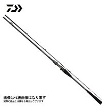 楽天市場】極鋭タチウオ テンヤsp 73－190agsの通販