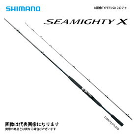 20 シーマイティー X 73 30-270 シマノ 2020モデル 大型便B