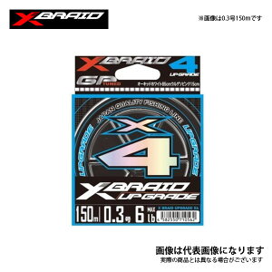 X-BRAID AbvO[h X4 100m 0.3 6lb cA~