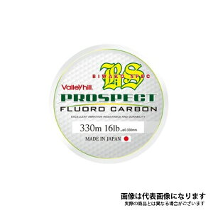 �v���X�y�N�g�t���� BIWAKO SPEC 330m 16LB �o���[�q��