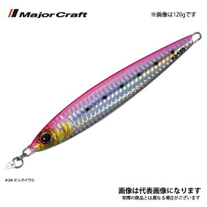 t@[XgWO 100g #29 sNCV FJ 100 W[Ntg