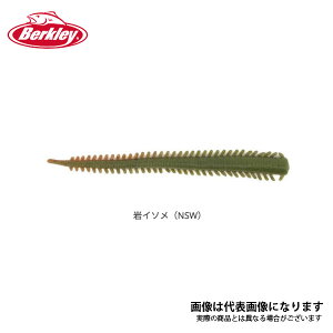 KvITh[4C` C\ɑ C\iNATURAL SANDWORMj Au KVA