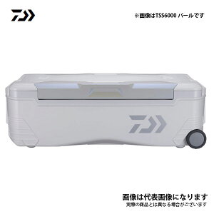 21 gN}X^[HD2 p[ TSS6000 _C 3ʐ^fM ^B