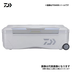 21 トランクマスターHD2 パール TSS4800 ダイワ 3面真空断熱 大型便B