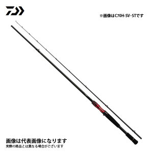ダイワ スティーズ ベイトキャスティングモデル フューリー C70H-SV 