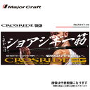 クロスライド 5G XR5-1002MH メジャークラフト スピニングモデル 大型便B