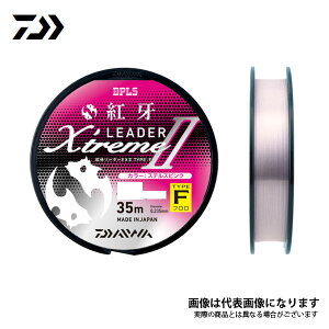 g僊[_[EX II ^CvFitj 2021f 1.75 _C