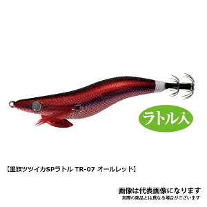 n ccCJSP 2.5 gVER VE-22R TR07 I[bh n~c