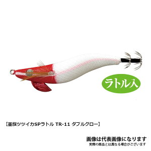 n ccCJSP 2.5 gVER VE-22R TR11 _uO[ n~c