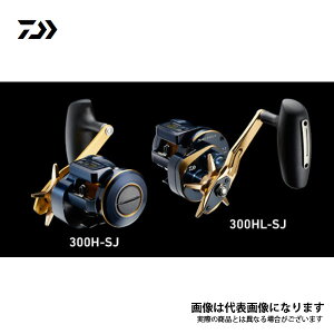 \eBK IC 300H-SJ 2021Vi _C [ xCg[