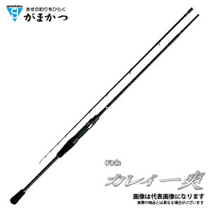 ܑD JCu MH 1.6M ܂ ^A