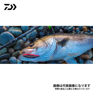 ubNX AGS 90LEN 2021Vi _C ^B