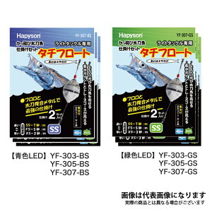 ёd|Zbg YF-305-BS YF-305-GS ns\