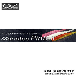 マナティーピンテール 90 MT-02 オンスタックル
