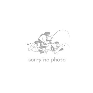 22 ZtBAXR^Xbe B66ML-S/F 2022NVi ^A