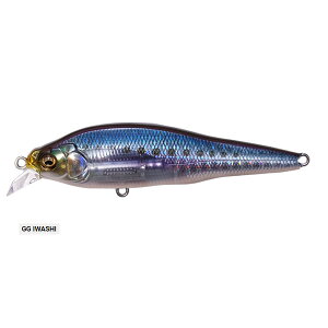 X-80SW LBO SHALLOW GG�C���V