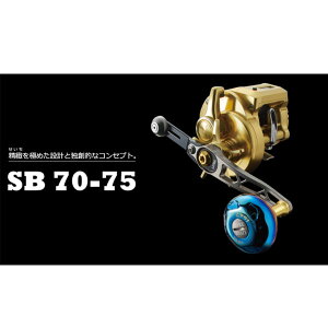 u SB 70-75 Cv[gSET Z^[ibg K^P+`^G@tɂ̓Z^[ibgKvłiʔj