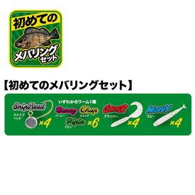 DUO テトラワークス入門セット初めての メバリングセット