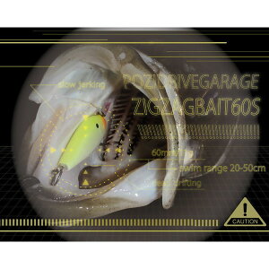 �|�W�h���C�u�K���[�W �W�O�U�O�x�C�g60S #5 PKL �s���N����