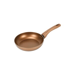 �p�[������ VISIONS GOLD Coating IH�Ή��t���C�p��20 CP-8811