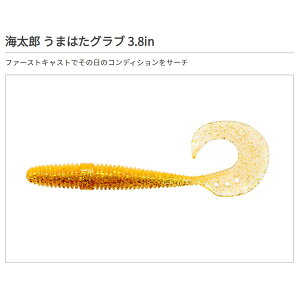 ꐽ CY ܂͂Ou 3.8C` #055 ܃VGr(O[)