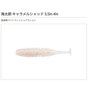 ꐽ CY LVbh 3.5C` #055 ܃VGr(O[)