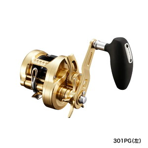 V}m 22 IVARNGXg 301PG (nh)@WEB