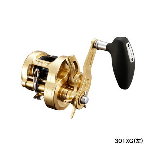 V}m 22 IVARNGXg 301XG (nh)@WEB