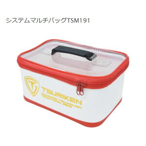 ތ TSM-191 VXe}`obO zCg