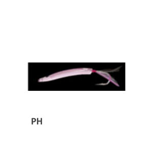 T[t|p2 40mm PH }V^ PP