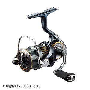 _C 23 GAeB LT2000S-P 2023NVi