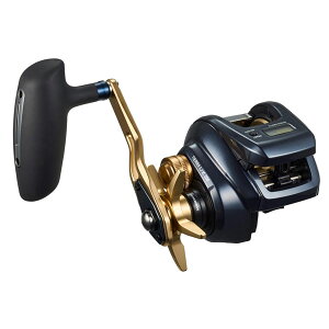 _C 23 eBGLJ IC200H (E) 2023NVi