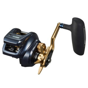 _C 23 eBGLJ IC200HL () 2023NVi